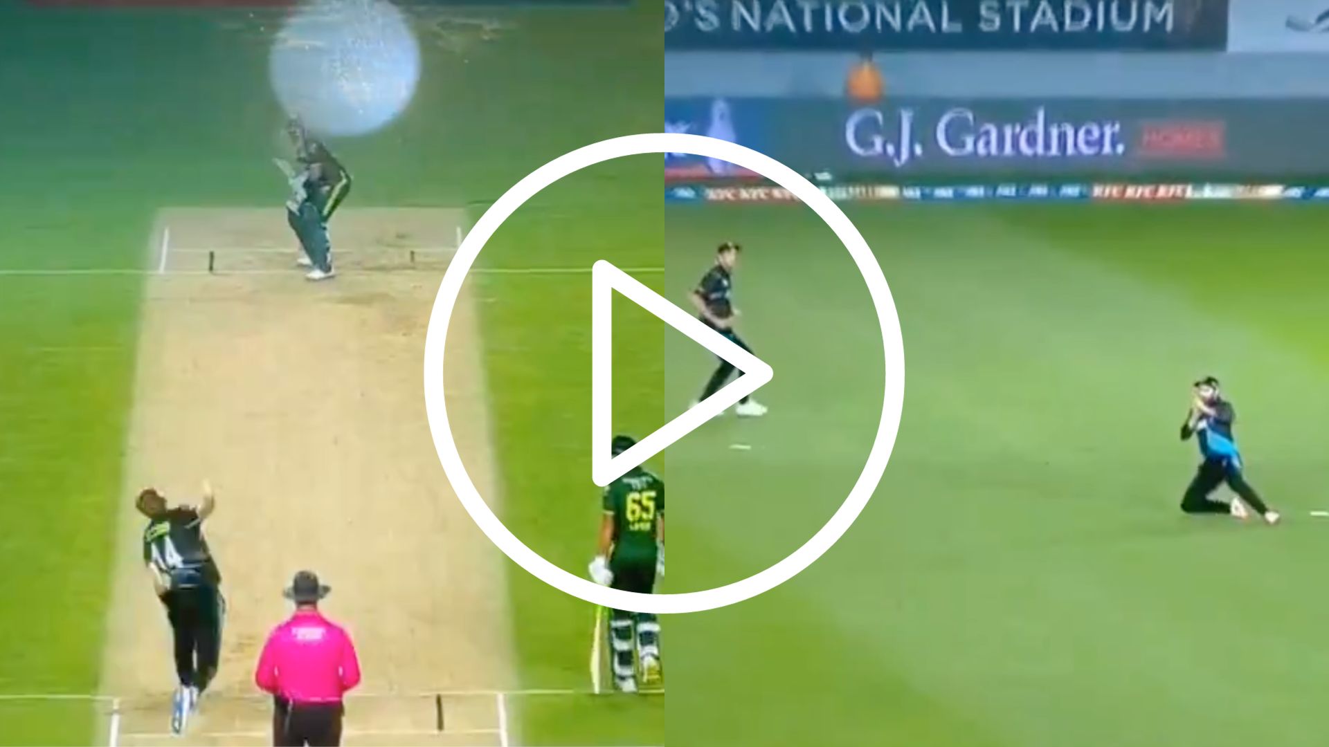 [Watch] Kane Williamson Ends Babar Azam’s Stay With A ‘Razor-Sharp’ Screamer